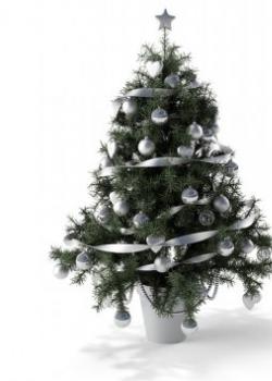 ʥ3Dģ|Christmas tree