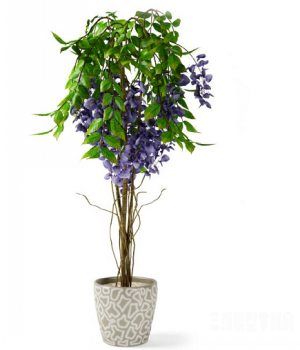辰ľ3Dģ|The bonsai shrubs 3D model