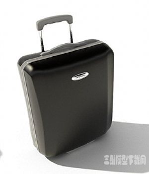 άģ|The suitcase three-dimensional model