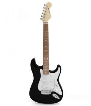 Fender Stratocaster缪3Dģ|Fender Stratocaster guitars 3D model