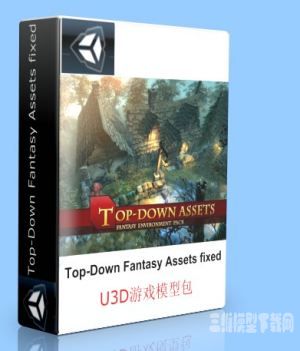Unity3DȻ|Top-Down Fantasy Assets fixed