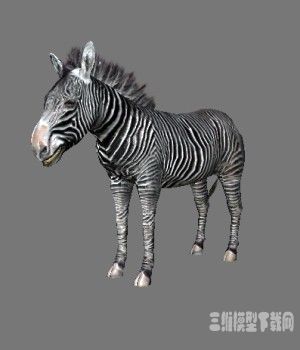 UNITY3DģͰ|Zebra