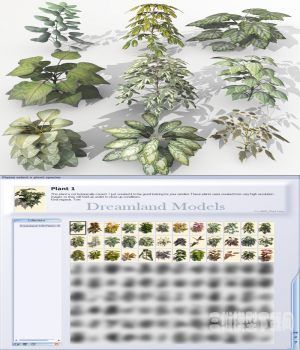 VUEֲģ|Plant_set_1Vuegen