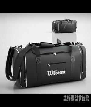 威尔逊运动袋模型下载|Wilson sport bag