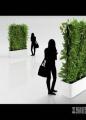 装饰绿墙植物模型下载