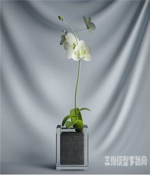  玻璃盆景花卉模型