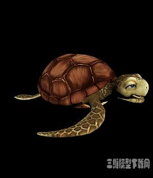 可爱的低面骨骼绑定的海龟CG模型下载