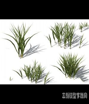 水稻OBJ模型下载