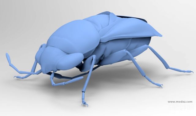 免费昆虫模型下载