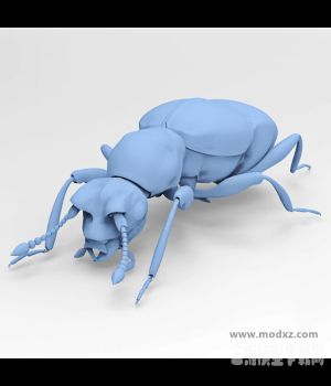 蚁甲免费模型下载