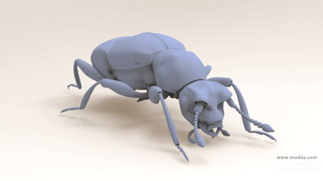 蚁甲免费模型下载